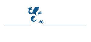 Linguana logo